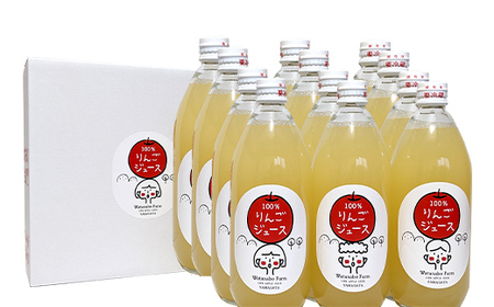 山形県中山町産 サンふじりんご100%ジュース 600ml×12本 令和6年産のりんご使用 12月上旬より発送開始 渡辺ファーム リンゴ フルーツ 果物 くだもの F4A-0414