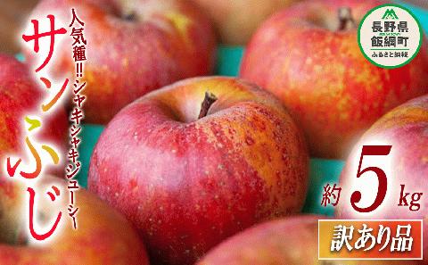 【 訳あり品 】 りんご サンふじ 訳あり 5kg 沖縄県への配送不可 2025年12月上旬頃から2026年2月下旬頃まで順次発送予定 ふるさと振興公社 林檎 リンゴ 長野県 飯綱町 [1562]