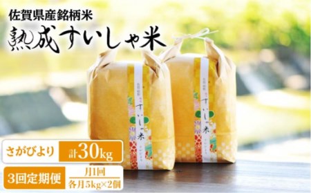 定期便 白米 令和7年産さがびより10kg NAO042 全3回 白米