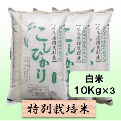 ふるさと納税 池田町 【令和7年産】特別栽培米 30kg【白米】(コシヒカリ)