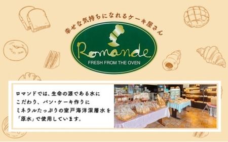 12回定期便 食パンセット【室戸海洋深層水仕込み】 4斤×12回 食パン もちもち ぱん 北海道産小麦使用