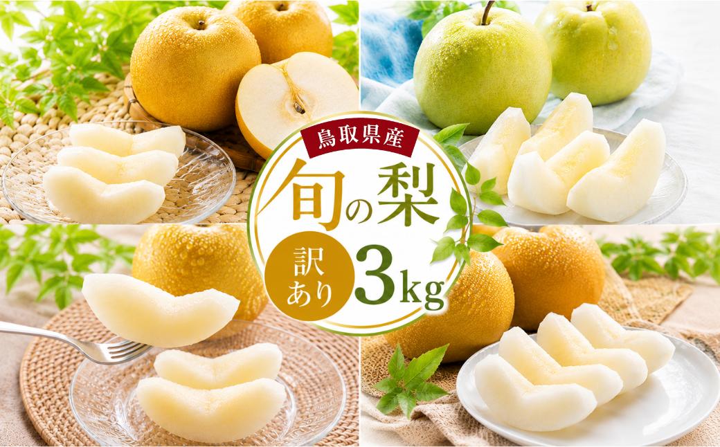 「梨王国」鳥取県産！旬を迎えた品種から2種類前後をお届けします！