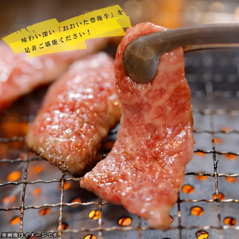 豊後牛焼肉用 500g　D2