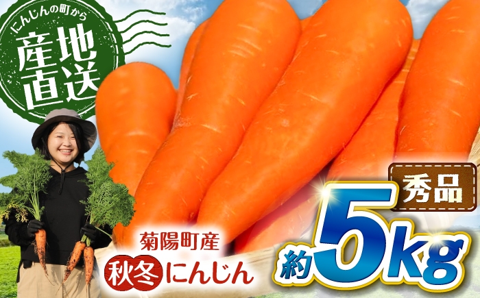 
                  【先行予約】【2026年11月より順次発送】菊陽秋冬にんじん 秀品 約5kg / にんじん 菊陽にんじん 秋冬にんじん ニンジン 人参 野菜 熊本 菊陽 【さかもと農園】 [BHDL004]
                