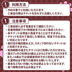 猫まみれになれる猫カフェチケット(3枚) チケット 猫 カフェ 体験 ネコ ねこ 保護猫 動物 カフェ利用チケット 保護猫カフェ 利用券 利用優待券 触れ合い ふれあい 体験型 動物カフェ 癒し 写真