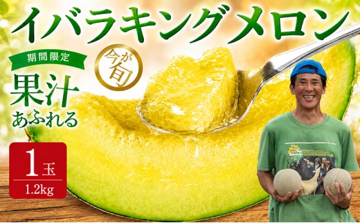 【2027年先行予約】 メロン 青肉 1.2kg以上×1玉 イバラキングメロン メロン めろん 舐瓜 メロン 産地直送 めろん 舐瓜 メロン BMW農法 舐瓜 めろん 旬 国産 メロン 舐瓜 めろん フルーツ メロン 果物 めろん 舐瓜 ギフト プレゼント 舐瓜 メロン めろん 贈り物 茨城 鉾田 方波見農園