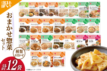 訳あり 惣菜 12個 おまかせセット もう一品 [22424507] 惣菜