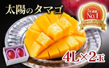 6月発送【先行予約】最高級ブランド『太陽のタマゴ』4L×2個【糖度15度以上】宮崎県西都市産完熟マンゴー＜68-3a＞宮崎マンゴー 果物 フルーツ 甘い
