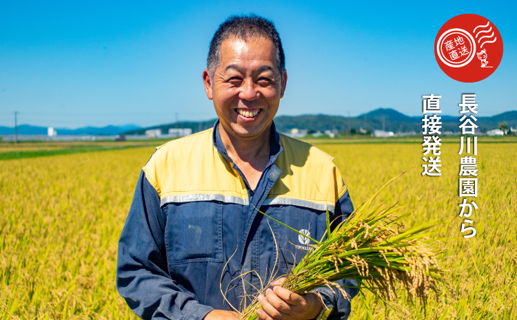 【令和８年産新米先行予約】ゆめぴりか 10kg 米 特A ランク 10kg以上 令和8年産 北海道米 当麻町 長谷川農園 北海道 特A米 定期便アリ【U-002】