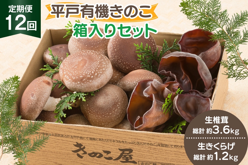 
                  きのこ しいたけ きくらげ 生椎茸 生きくらげ 箱入りセット 12回 定期便 [きのこ屋 長崎県 平戸市 hr42bgy410433] 有機 有機JAS 有機栽培 有機きのこ 有機しいたけ 箱入り ギフト セット
                