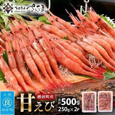 鮮度抜群!越前町産 甘えび 250g × 2P セット【配送不可地域：離島】【1503903】