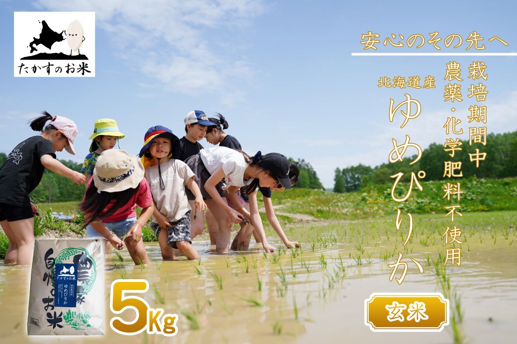 【ふるさと納税】【 令和7年産 】 ゆめぴりか （ 玄米 ） 特Aランク 安心・安全の高みへ！栽培期間中農薬不使用 5kg 北海道 鷹栖町 たかすのお米 米 コメ こめ ご飯 玄米 お米 ゆめぴりか コメ