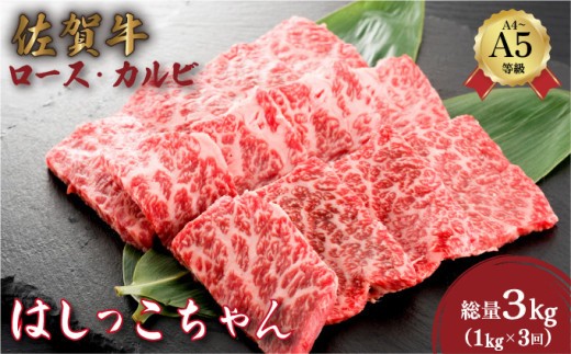 ＜定期便3回＞佐賀牛はしっこちゃん(ロース・カルビ) 計3kg (1kg×3回) | 佐賀牛 肉 牛肉 黒毛和牛 国産 バーベキュー 焼肉 赤身 佐賀 佐賀県 国産牛 佐賀県産 ギフト 贈答