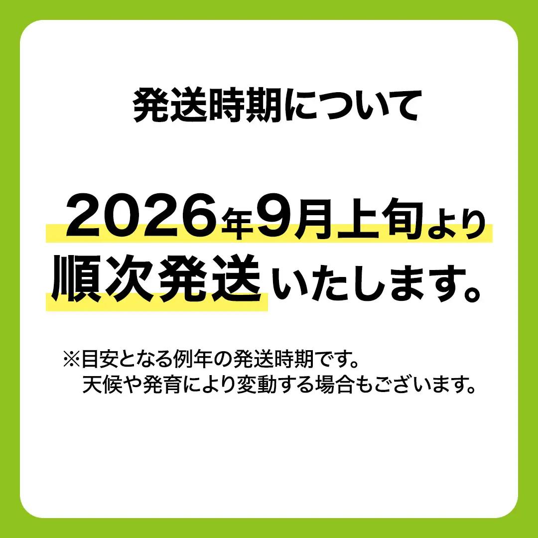 ≪ 種なし ≫ シャインマスカット ・ ピオーネ ・ 藤稔 約 1.6kg 計 3～4房 [ぶどう満喫BOX] (茨城県共通返礼品:かすみがうら市) 2026年 マスカット ぶどう 葡萄 ブドウ フル