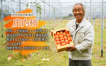 【令和8年産先行予約】　庄内柿　M～Ｌ　約3kg　佐藤農園