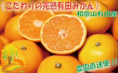 ＼農家直送／こだわりの完熟有田みかん LLサイズ約10kg【2024年11月中旬より順次発送】【NK15】