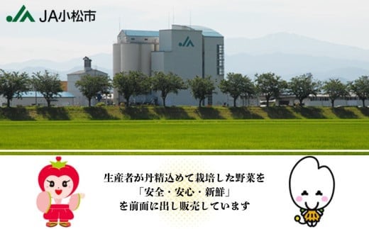 【先行予約】アロニア （ブラックベリー） 1kg 冷凍フルーツ アロニア | 石川県 小松市