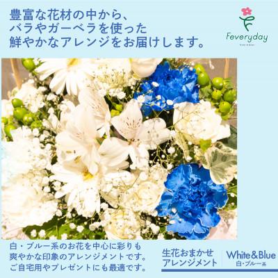 ふるさと納税 佐倉市 生花お任せアレンジメントL 白・ブルー系 お祝いやお誕生日におすすめ |  | 01