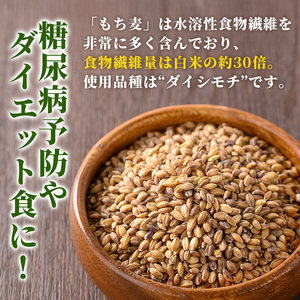 y215 棚田で作ったもち麦200g×5袋(計1kg)!日本棚田百選に選定されている「鹿児島県湧水町幸田棚田のもち麦」国産 九州産 鹿児島産 もち麦 ごはん ご飯 ダイエット 健康【福永商店】