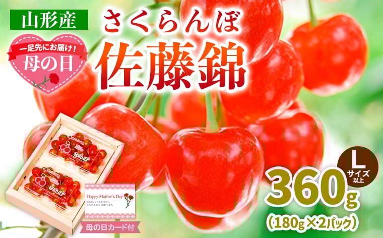 
            一足先にお届け！【母の日】さくらんぼ佐藤錦360gLサイズ以上(180g×2パック) 【令和8年産先行予約】FS25-013
          