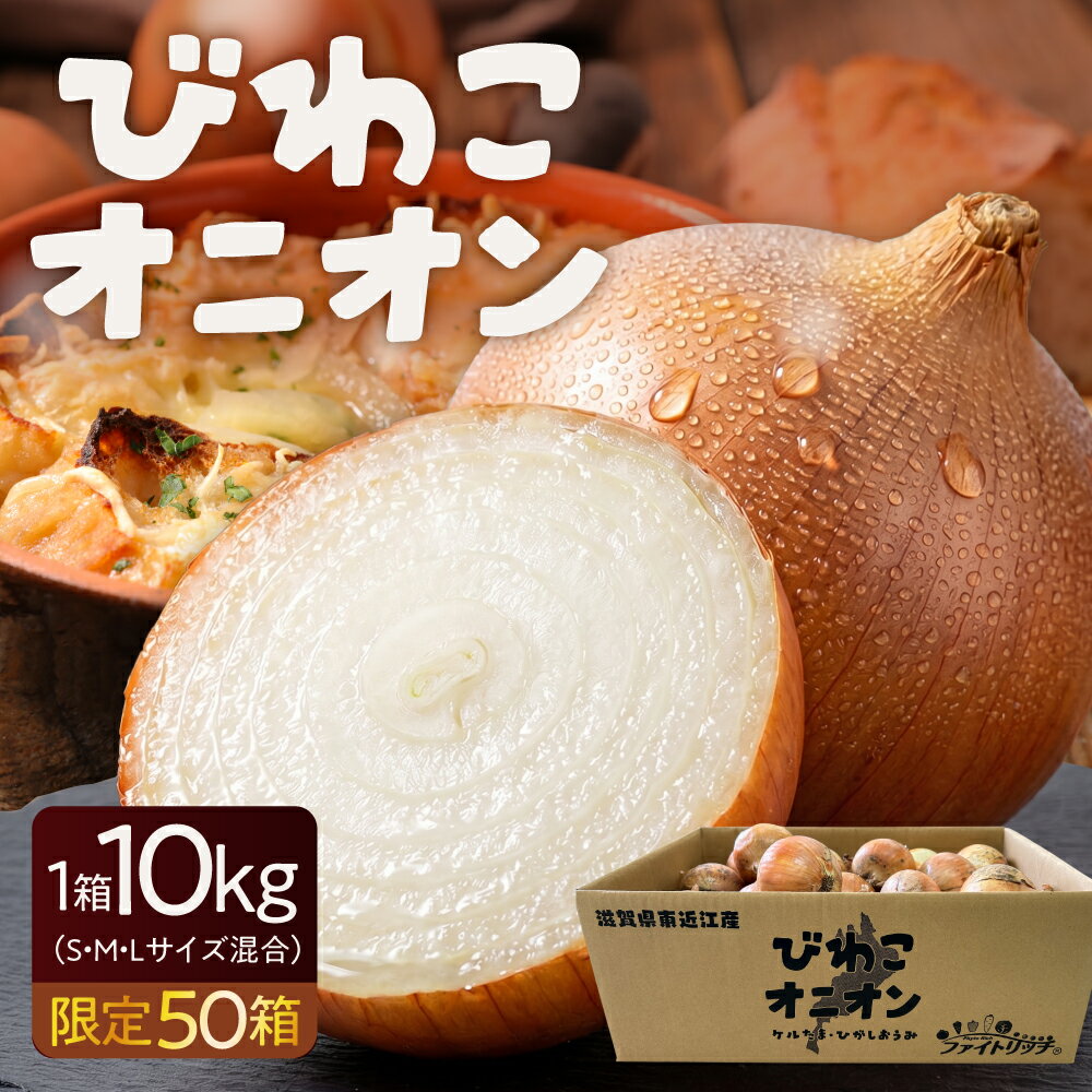 【ふるさと納税】＼8月末までの期間限定50箱／ びわこオニオン(ケルたま) 株式会社東近江あぐりステーション 滋賀県 東近江市 O-F10 玉ねぎ 玉葱 タマネギ ケルたま 10kg 野菜 旬 常温 滋賀 国産