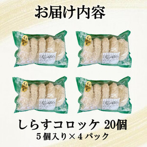 南知多産しらすがしっかり入った 冷凍 しらすコロッケ 20個(5個入り×4P) お弁当・おかずに便利【配送不可地域：離島】【1371612】