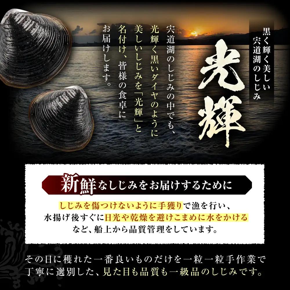 【全6回定期便】産地直送！宍道湖産 冷凍大和しじみMサイズ4kg(500g×8) 砂抜き処理済 島根県松江市/りすたむmatsue[ALDE014]