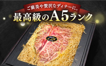 【全6回定期便】【30日間熟成】極上 壱岐牛 A5ランク Tボーンステーキ  約550～650g（雌） 《 壱岐市 》【 KRAZY MEAT 】[JER022] 504000 504000円  ステ