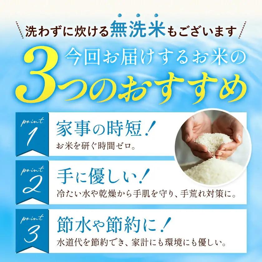 令和7年産 米 無洗米 ひのひかりこしひかり 食べ比べ 20kg《7-14日以内に出荷(土日祝除く)》 白米 精米 無洗米 熊本県産(南阿蘇村産含む) 単一原料米 南阿蘇村 ひの こし 送料無料 熊本