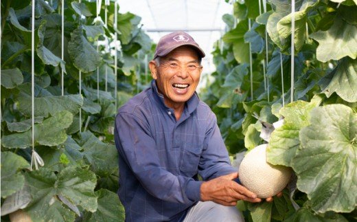 【11月末～12月中旬発送】鹿児島県産 砂丘メロン「加世田アールスメロン」2玉 化粧箱入り 果物 フルーツ JA南さつま