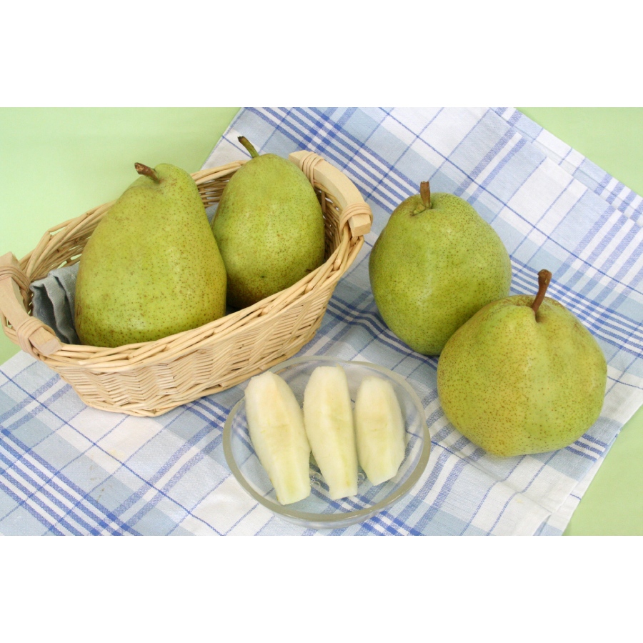 ＜丸松青果＞洋梨「追熟マルゲリット・マリーラ」３kg(５～９玉)×２箱　６kg
