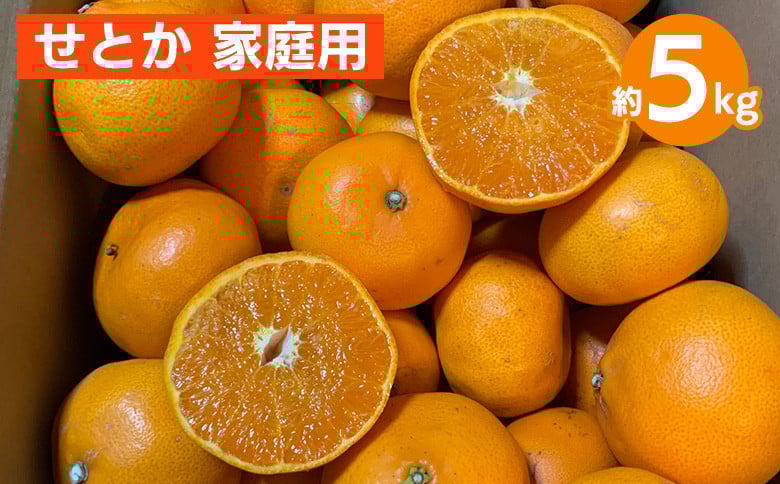 
            せとか　約5kg　家庭用 ※2026年2月下旬～4月中旬頃より順次発送予定
          