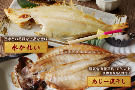 山陰浜田 香住屋のこだわり干物「社長のお任せセット」 魚介類 魚貝類 魚 干物 一夜干し セット 詰め合わせ 【948】