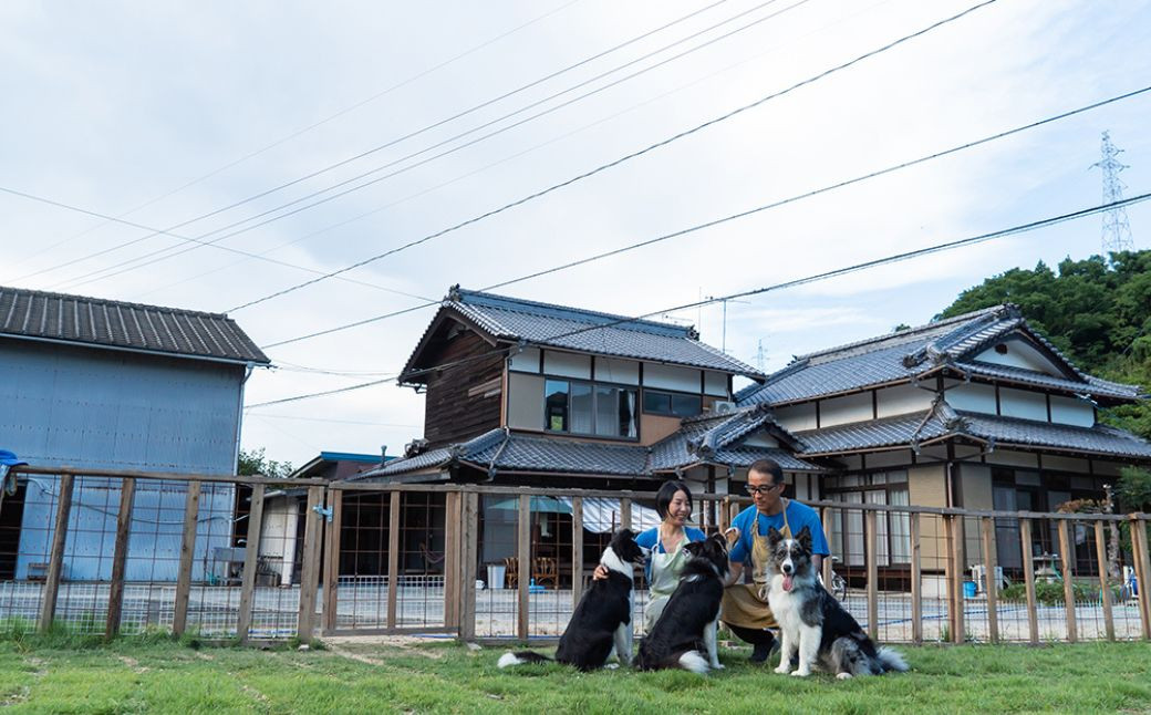 フルーツカードの瓶に描かれている3匹の看板犬が元気にお出迎え。Shiki Farmの敷地内にはドッグランも併設されています。