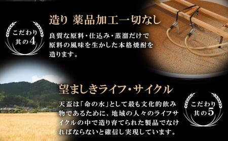 〈天盃〉麦焼酎いにしえ10年　720ml×1本　化粧箱入り【焼酎 天盃 麦 麦焼酎 焼酎 お酒 アルコール 焼酎 麦 麦焼酎 お湯割り 焼酎 ロックお酒 酒 送料無料】