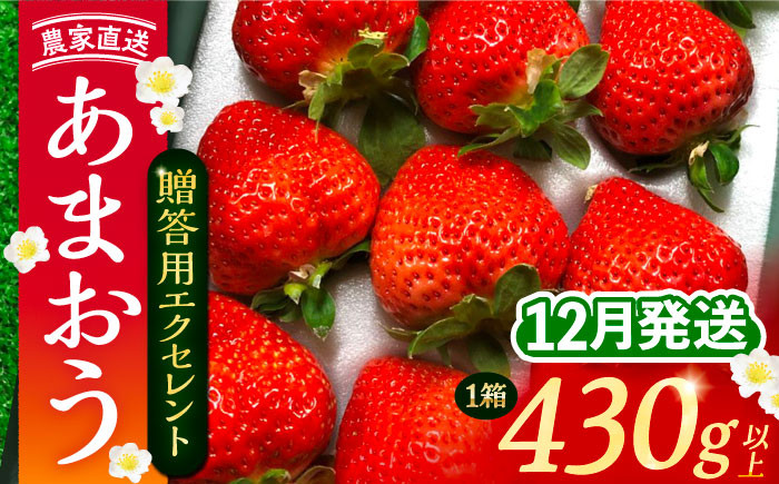 
                  【2026年12月発送】 あまおう 贈答用 エクセレント 430g以上×1箱 《豊前市》【内藤農園】[VAB013] 果物 苺 イチゴ あまおう アマオウ 福岡 フルーツ いちご 先行予約
                