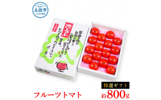 【先行予約】フルーツトマト特選ギフト 約800g  / 特Aランク トマト フルーツトマト 池トマト 糖度10度以上 高糖度 高知県産 ギフト 箱入り 贈答用 贈り物 健康【池トマト】[BQAG024]