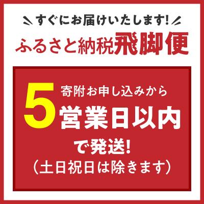 ふるさと納税 碧南市 愛知県産コシヒカリ 5Kg　安心安全なヤマトライス 米 白米 国産 精米 H074-657 |  | 01
