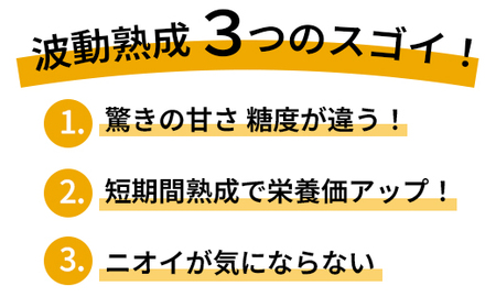 【定期便12回】 波動熟成 黒にんにく 6個セット