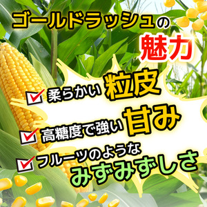 【6月下旬から7月下旬まで発送】とうもろこし ゴールドラッシュ 8kg以上 