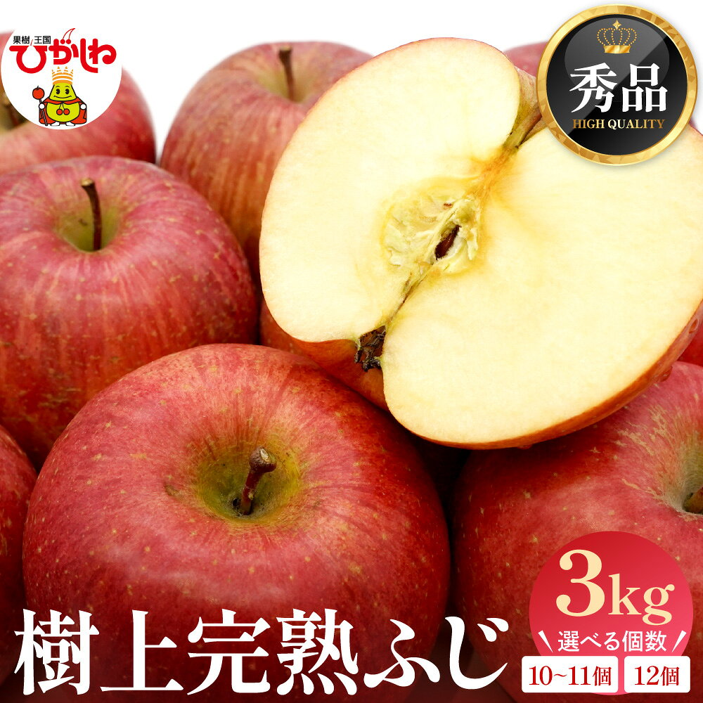 【ふるさと納税】【2026年産】 樹上 完熟 ふじ りんご 秀品 3kg ( 選べる : 12個 / 10-11個 ) 化粧箱/ 林檎 リンゴ ふじりんご ふじリンゴ フジ フルーツ 果物 くだもの 期間限定 先行予約 農家直送 お取り寄せ グルメ ご当地 特産 産地直送 山形県 東根市