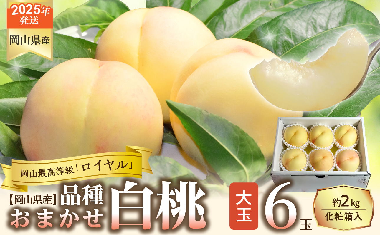 【令和７年発送分】岡山県産 白桃「ロイヤル」大玉６玉（令和7年7月から8月発送）【 岡山県産 白桃 大玉 ロイヤル 晴れの国おかやま 】