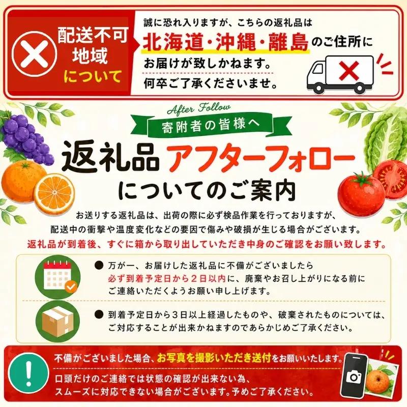 和歌山産ミニトマト「アイコトマト」約2kg（M・Lサイズおまかせ）［2027年3月出荷分］【tec100B-3】
