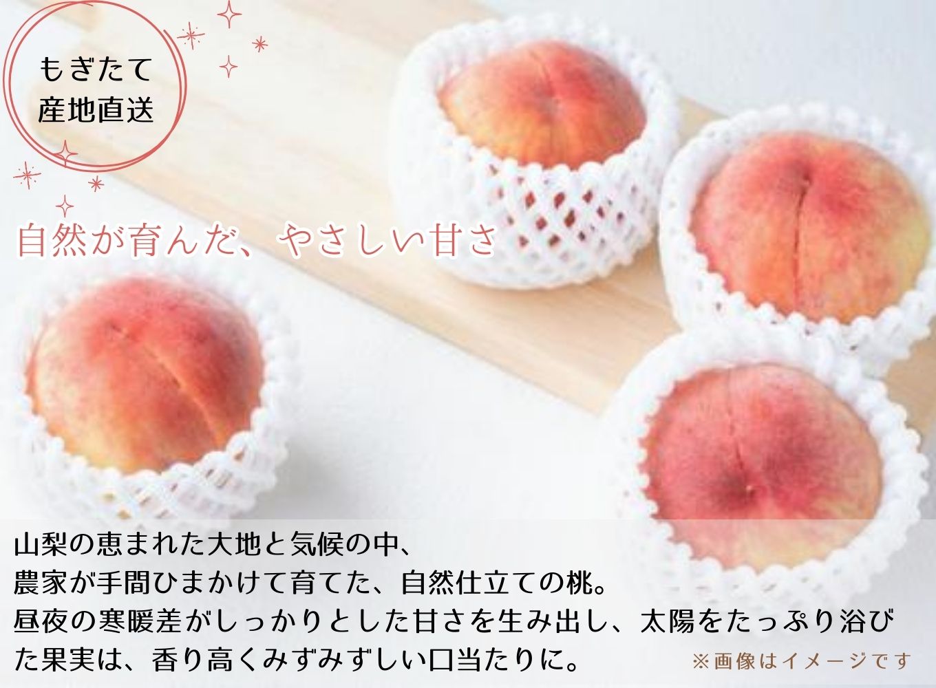 【先行予約】【市川三郷町産】プレミアム 桃6玉　【2025年7月中旬から発送】！Inakakara[5839-2019]