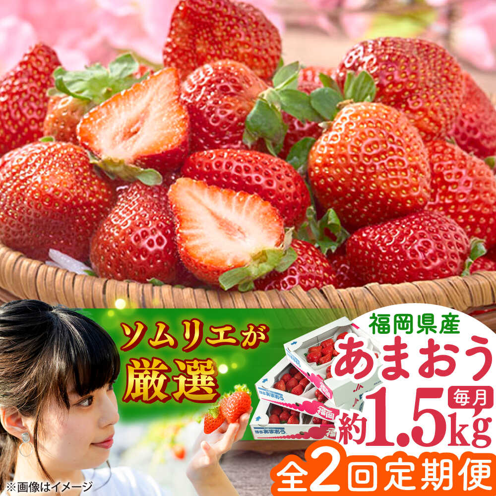 【ふるさと納税】【全2回定期便】福岡産【春】 あまおう 6パック 吉富町/南国フルーツ株式会社[BGAG052]