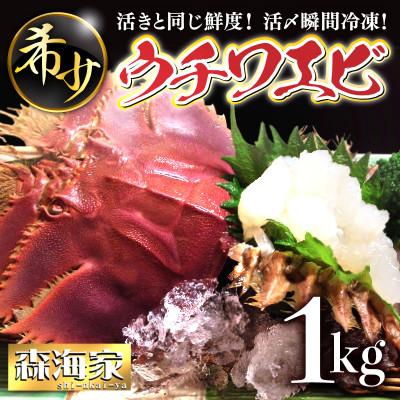 ふるさと納税 東洋町 活き〆ウチワエビ1000gセット(8〜12尾)天然高知県産/刺身OK!「誰でも簡単調理説明書」付き