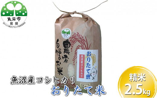 
[№5762-0643][令和５年産]魚沼産コシヒカリ おりたて米 （精米）2.5kg
