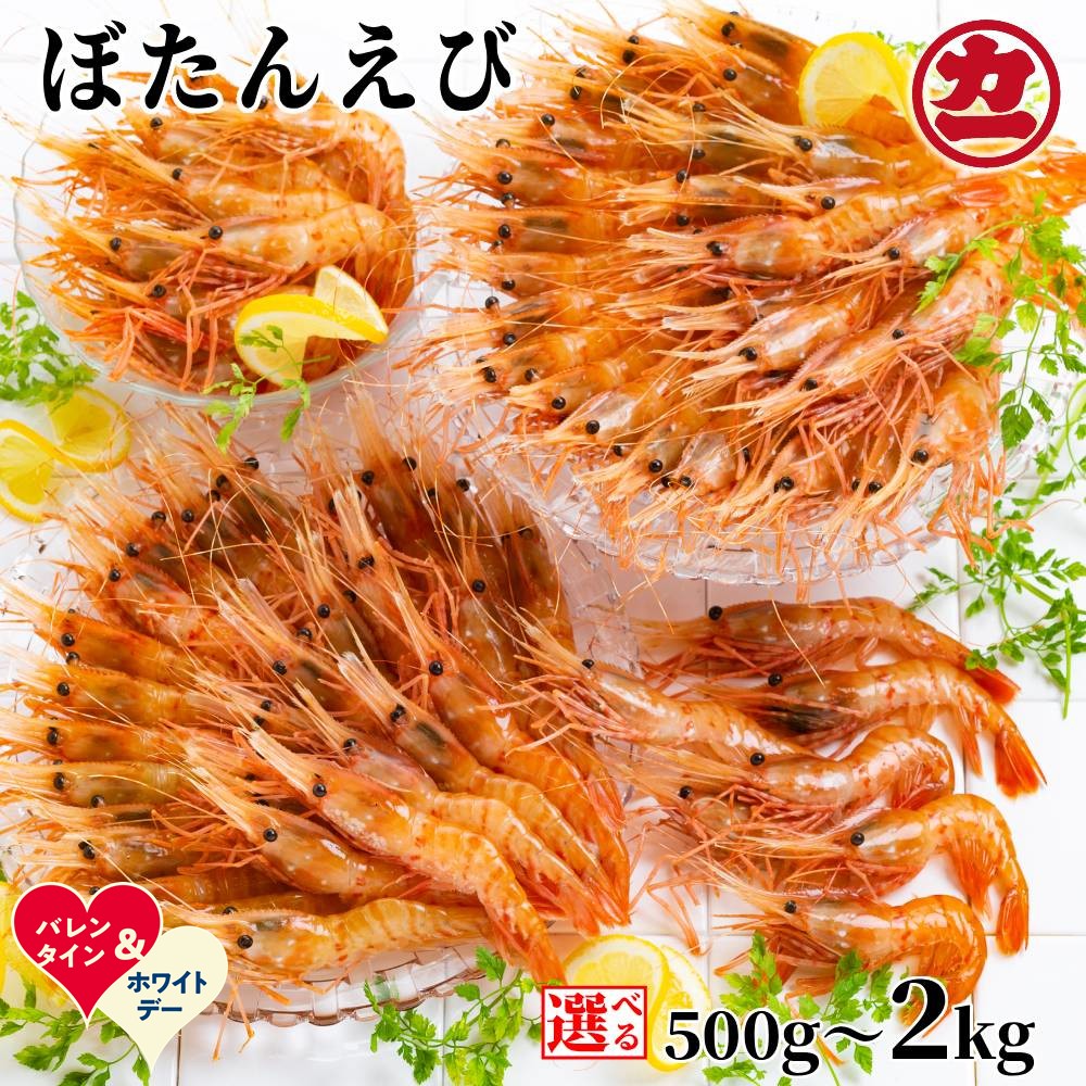 【ふるさと納税】【新春感謝祭】ぼたんえび | バレンタインデー ホワイトデー VD WD ギフト 贈り物 贈答 選べる 小分け えび エビ 海老 ボタンエビ ぼたん海老 刺身 お刺身 お寿司 冷凍 グルメ 串焼き 手巻き寿司 海鮮丼 北海道 hokkai