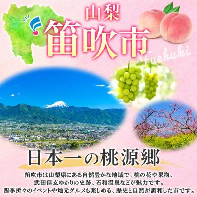 ふるさと納税 笛吹市 農園直送!甘酸っぱくて美味しいスモモ「大石早生」6P 約1.4kg 24〜36玉入 村松農園 山梨県 |  | 03