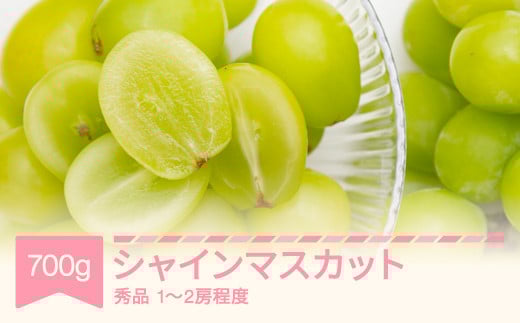 
            【先行予約】 シャインマスカット 秀品 700g ぶどう 令和7年産 2025年産 果物 ※沖縄・離島への配送不可 sb-busmx700
          